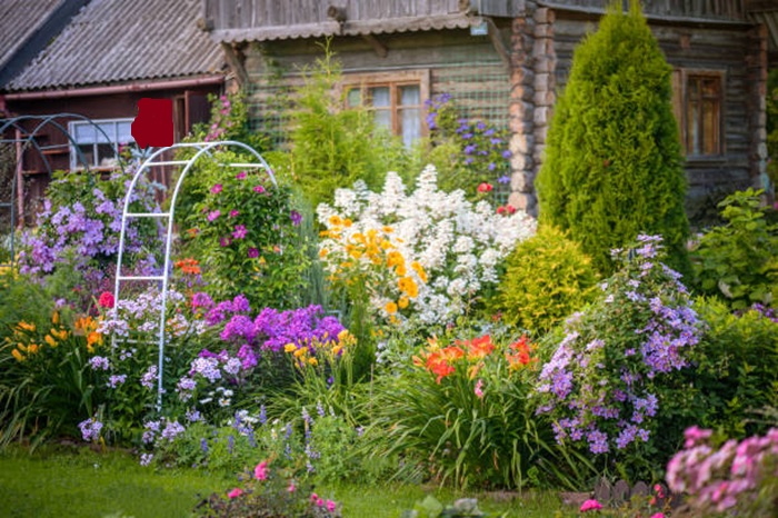 How to Start a Home Garden: Step-by-Step Beginner’s Guide