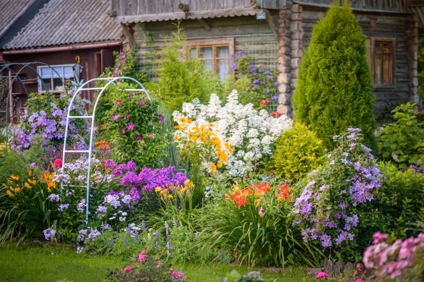 How to Start a Home Garden: Step-by-Step Beginner’s Guide