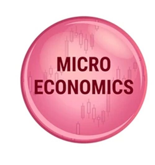 What is Micro economics? Definition, Key Concepts &…