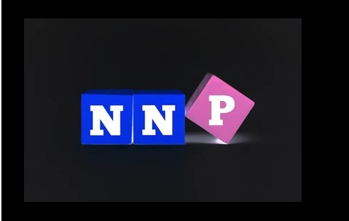 What is Net National Product (NNP)? | Definition, Formula
