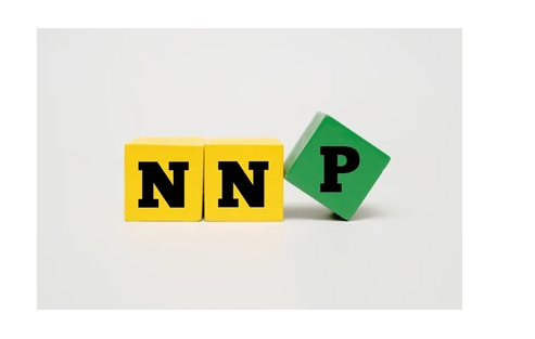 What is Net National Product (NNP)? | Definition, Formula